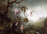 Martin Johnson Heade Hummingbird Perched near Passion Flowers painting